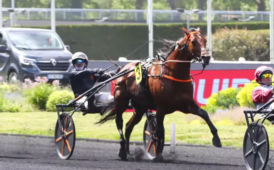 turfvictoire || turfvictoire quinté